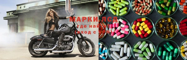 прущие грибы Красноперекопск