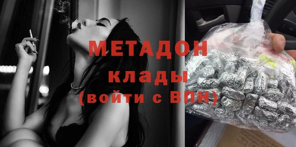 прущие грибы Красноперекопск