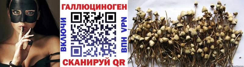 Псилоцибиновые грибы прущие грибы  купить  цена  Лениногорск 