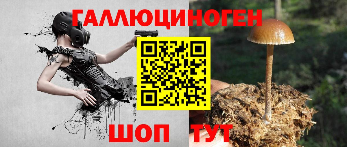 Псилоцибиновые грибы прущие грибы  Вход с VPN  цена наркотик  Галлюциногенные грибы GOLDEN TEACHER  Лениногорск 