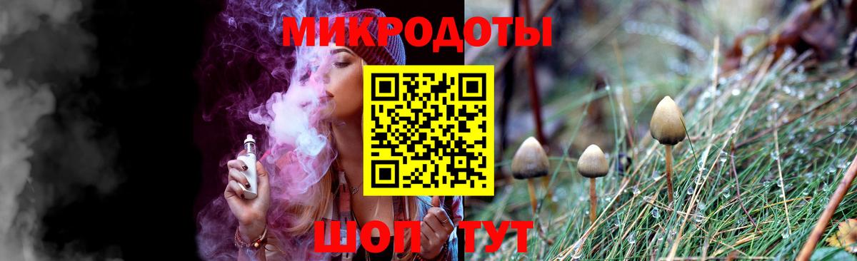 Галлюциногенные грибы Psilocybine cubensis Лениногорск